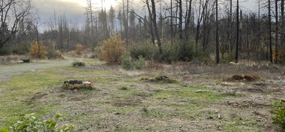 30 x 10 Unpaved Lot in Berry Creek, California near [object Object]