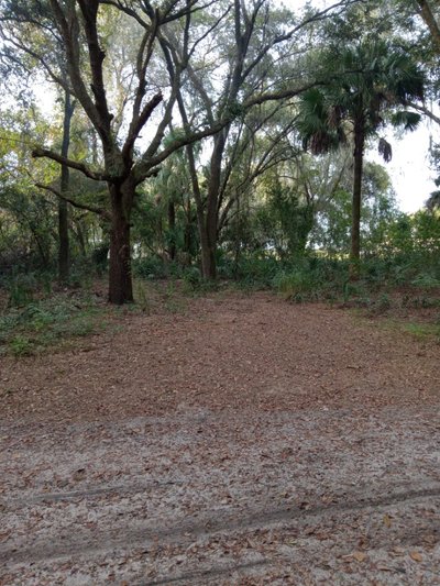 40 x 10 Unpaved Lot in Weirsdale, Florida near [object Object]