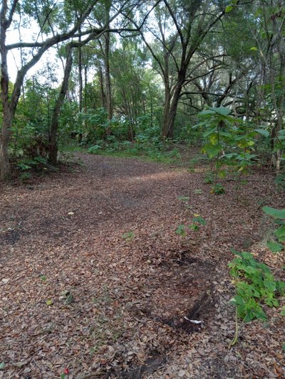 40 x 10 Unpaved Lot in Weirsdale, Florida near [object Object]