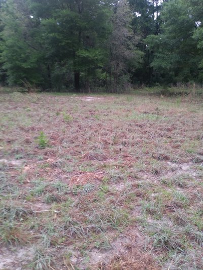 50 x 50 Unpaved Lot in Gainesville, Florida near [object Object]