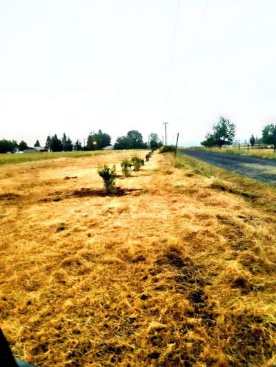 20 x 10 Unpaved Lot in Spokane County, Washington near [object Object]