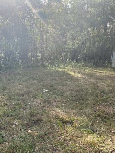 30 x 15 Unpaved Lot in Orlando, Florida near [object Object]