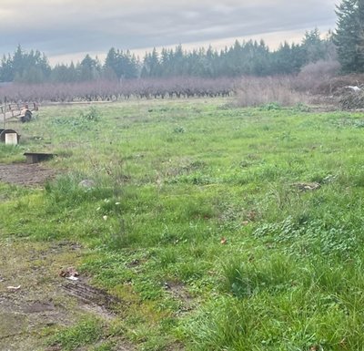 50 x 10 Unpaved Lot in Oregon City, Oregon near [object Object]