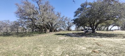 60 x 12 Unpaved Lot in Poteet, Texas near [object Object]