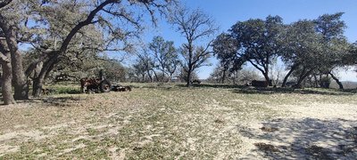 50 x 12 Unpaved Lot in Poteet, Texas near [object Object]