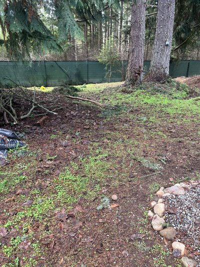 20 x 10 Unpaved Lot in Yelm, Washington near [object Object]