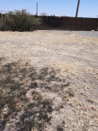 20 x 10 Unpaved Lot in Clint, Texas