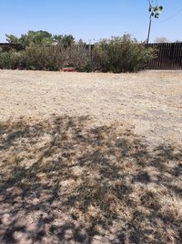 20 x 10 Unpaved Lot in Clint, Texas