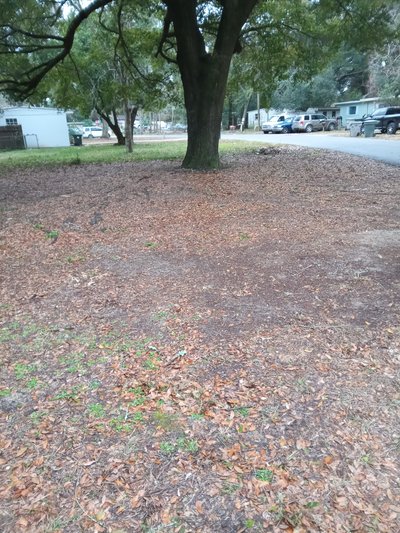 20 x 10 Unpaved Lot in Pensacola, Florida near [object Object]