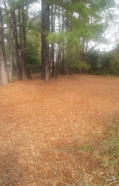 50 x 10 Unpaved Lot in Mullins, South Carolina near [object Object]