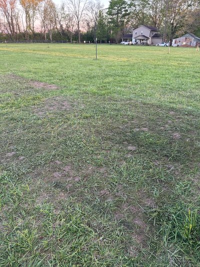 20 x 10 Unpaved Lot in Spring Hill, Tennessee near [object Object]