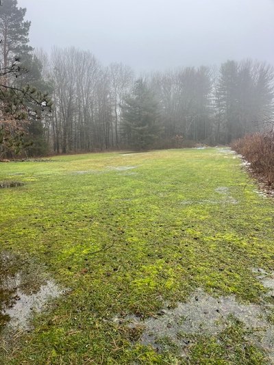 20 x 10 Unpaved Lot in Webster, New York