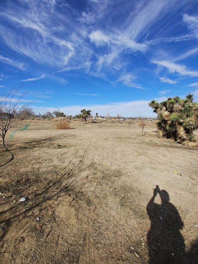 Unpaved Lot in Phelan, California 1