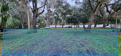 40 x 12 Unpaved Lot in Crystal River, Florida near [object Object]