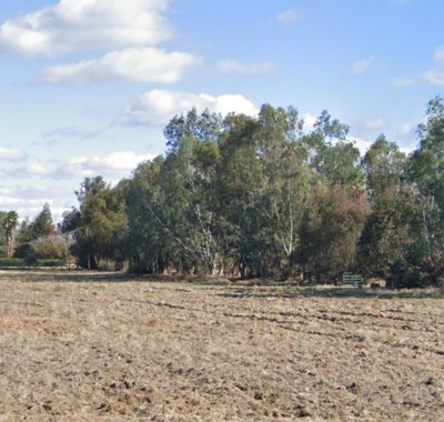 50 x 10 Unpaved Lot in Madera, California near [object Object]