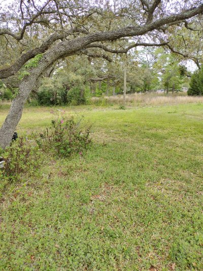 50 x 10 Unpaved Lot in Weeki Wachee, Florida near [object Object]