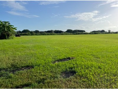 60 x 10 Unpaved Lot in Belle Glade, Florida near [object Object]