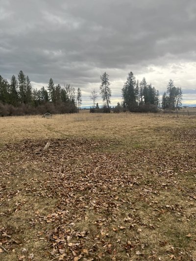 50 x 10 Unpaved Lot in Polson, Montana near [object Object]