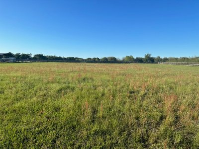50 x 10 Unpaved Lot in Bell, Florida near [object Object]
