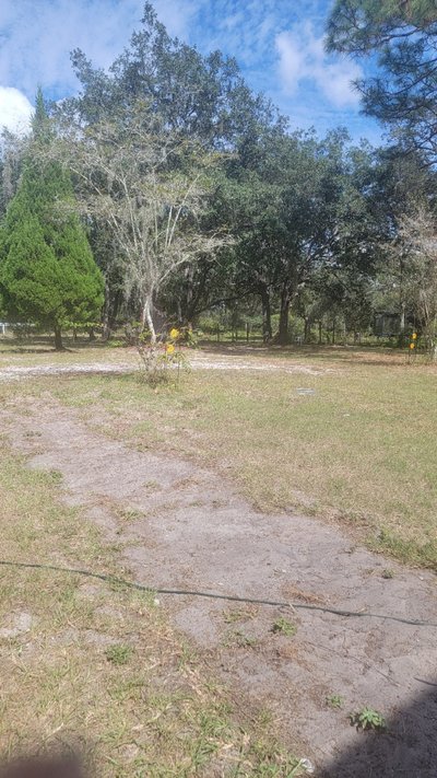 40 x 10 Unpaved Lot in Davenport, Florida near [object Object]