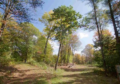 70 x 10 Unpaved Lot in Townshend, Vermont near [object Object]