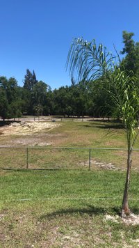 10 x 10 Unpaved Lot in Fort Myers, Florida