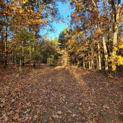 40 x 10 Unpaved Lot in Holly Springs, North Carolina near [object Object]