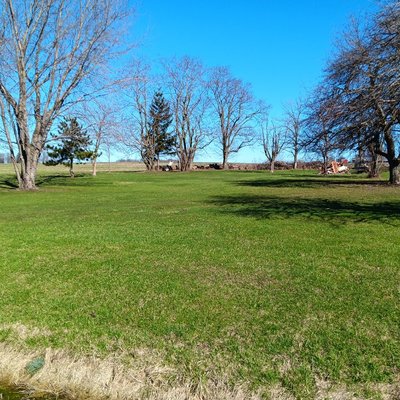 40 x 10 Unpaved Lot in Canandaigua, New York near [object Object]