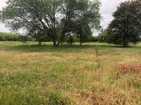 100 x 100 Unpaved Lot in Seguin, Texas