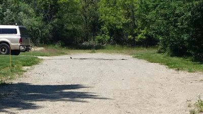 undefined x undefined Unpaved Lot in Medford, New York