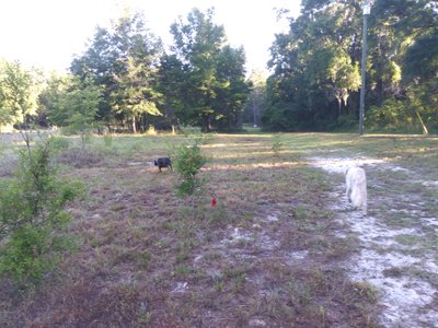 25 x 10 Unpaved Lot in Gainesville, Florida near [object Object]