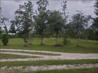 20 x 20 Unpaved Lot in Youngstown, Florida