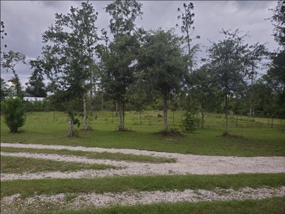 20 x 20 Unpaved Lot in Youngstown, Florida near [object Object]