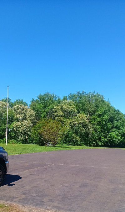 20×10 Unpaved Lot in Hamilton Township, NJ near I-295 2