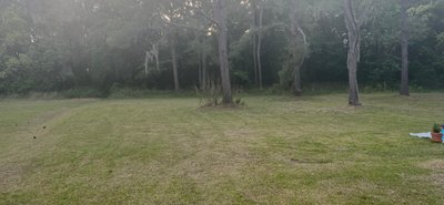 50 x 10 Unpaved Lot in Hastings, Florida near [object Object]