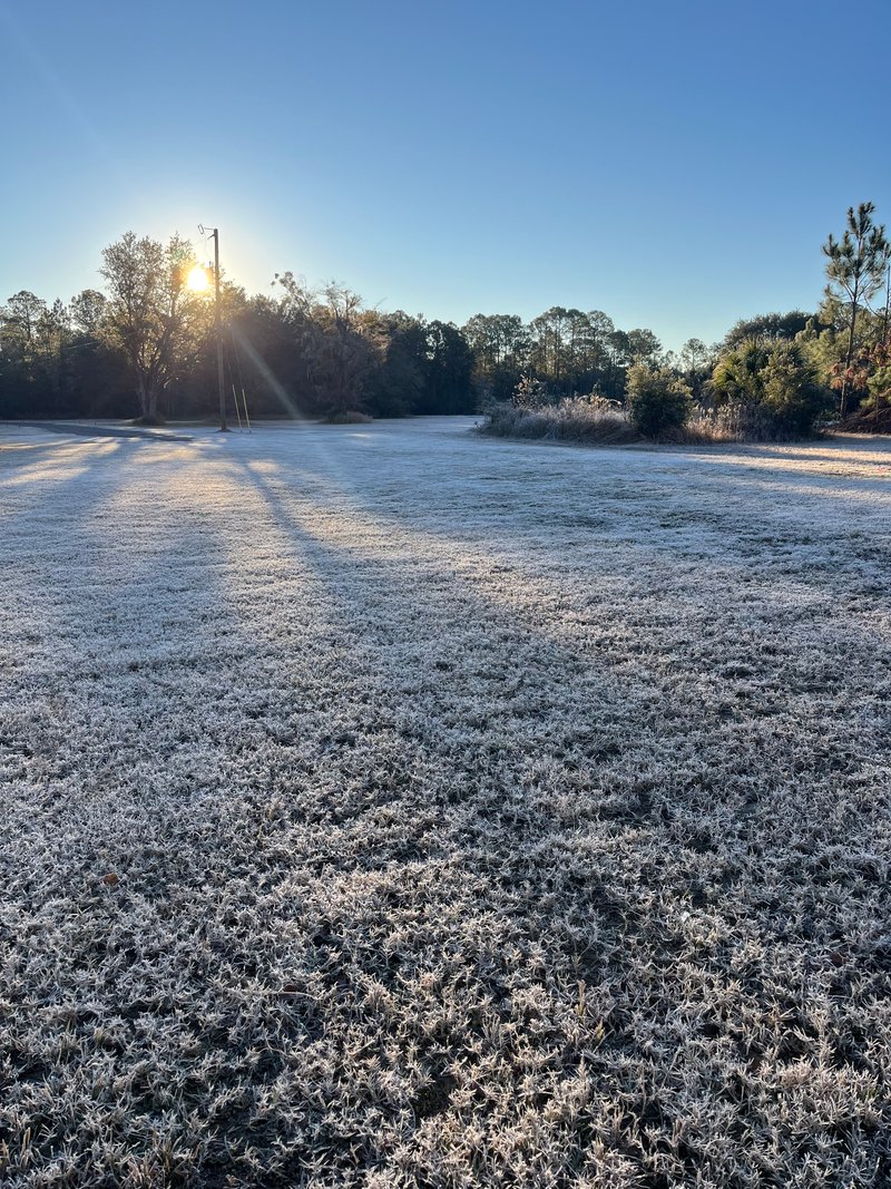 Unpaved Lot in Middleburg, Florida 0