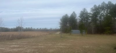 20 x 10 Unpaved Lot in Williston, South Carolina near [object Object]