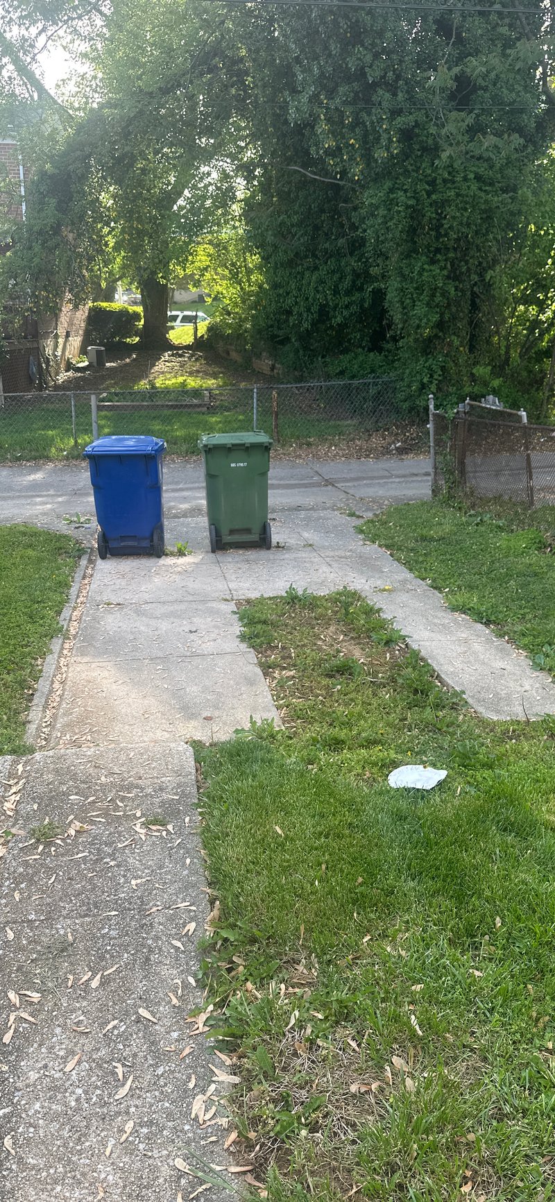 Driveway in Baltimore, Maryland 2