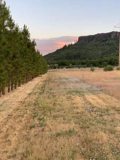 20×10 Unpaved Lot in Central Point, OR near Michael Rd