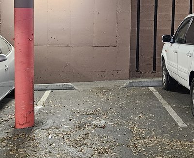 8 x 16 Parking Garage in Seattle, Washington near [object Object]